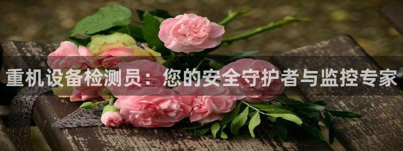 辉达娱乐五39444：重机设备检测员：您的安全守护者与监控专