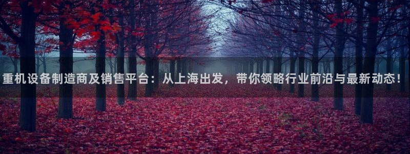 辉达平台娱乐怎么样