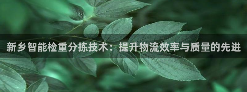 辉达娱乐体彩：新乡智能检重分拣技术：提升物流效率与质量的先进