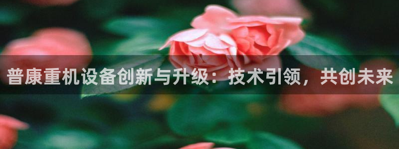 正规辉达娱乐