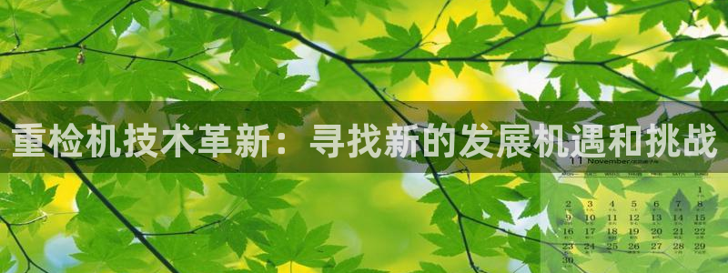 辉达平台注册官方网站入口：重检机技术革新：寻找新的发展机遇和