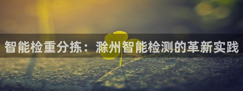 专业辉达娱乐在线游戏：智能检重分拣：滁州智能检测的革新实践