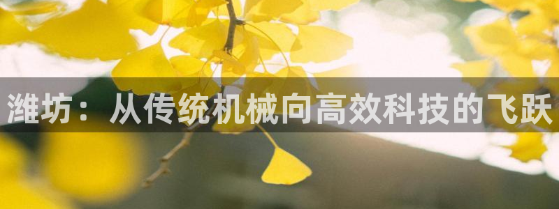辉达娱乐重庆时时彩