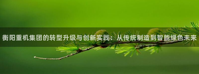 辉达娱乐排列三：衡阳重机集团的转型升级与创新实践：从传统制造