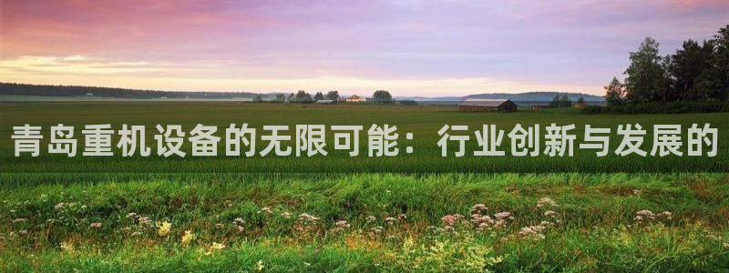 辉达娱乐体育竞猜：青岛重机设备的无限可能：行业创新与发展的