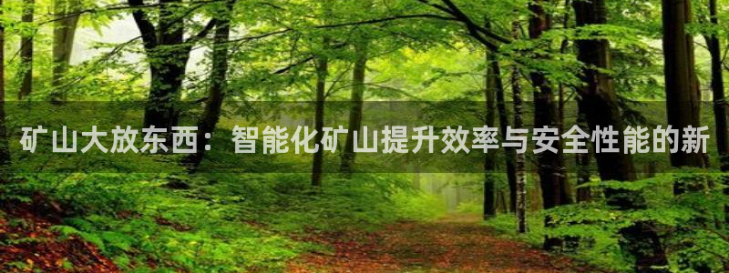 代理辉达娱乐开户注册：矿山大放东西：智能化矿山提升效率与安全