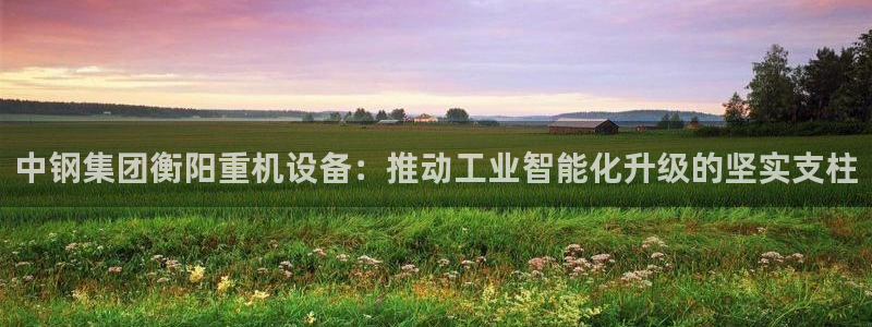 辉达娱乐丿39444：中钢集团衡阳重机设备：推动工业智能化升