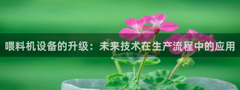 辉达娱乐线路检测：喂料机设备的升级：未来技术在生产流程中的应