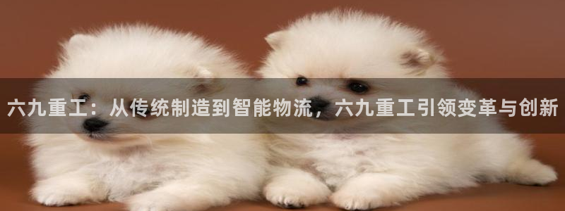 辉达娱乐检测：六九重工：从传统制造到智能物流，六九重工引领变