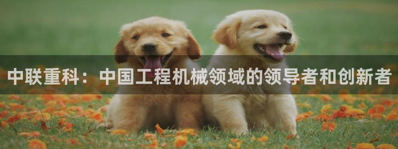 辉达娱乐最新现状