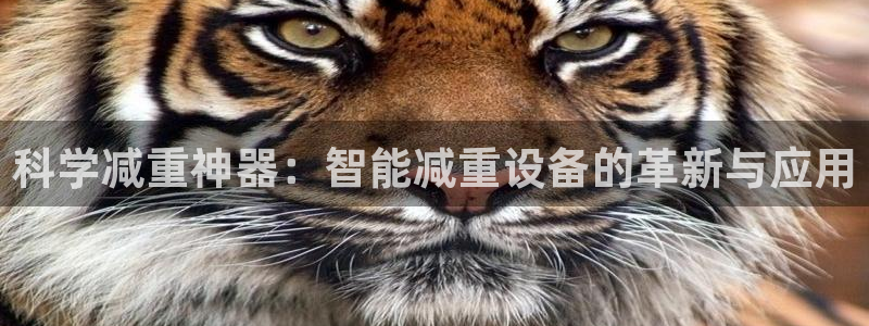 辉达娱乐新疆时时彩