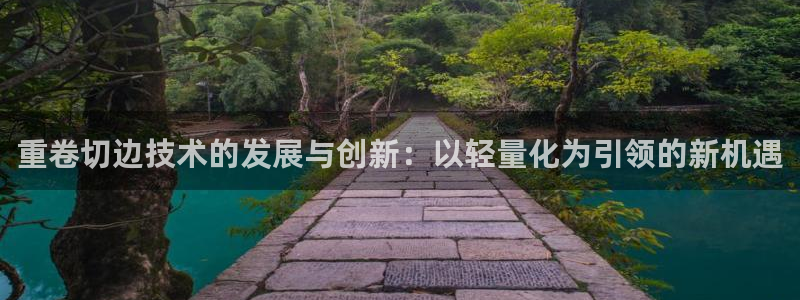 辉达娱乐电子