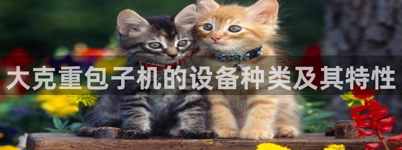 辉达娱乐时时彩平台