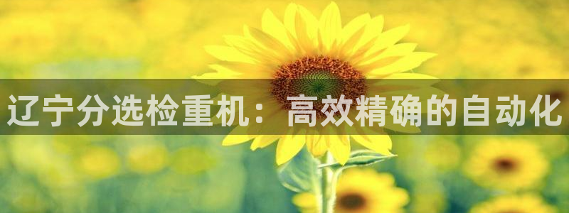 辉达娱乐检测：辽宁分选检重机：高效精确的自动化