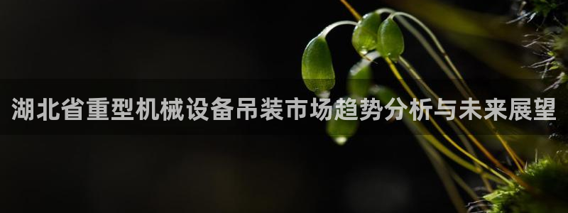 辉达娱乐下载：湖北省重型机械设备吊装市场趋势分析与未来展望