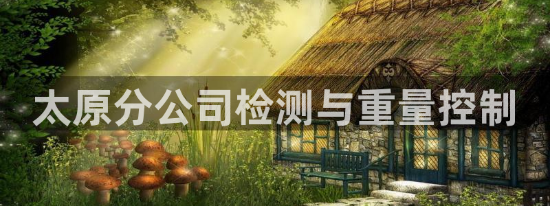 辉达娱乐兼职：太原分公司检测与重量控制