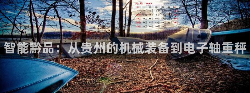 辉达娱乐五39444