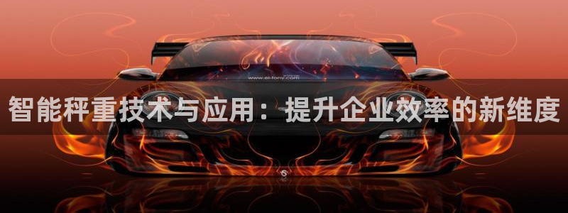 辉达官网登录入口入口：智能秤重技术与应用：提升企业效率的新维