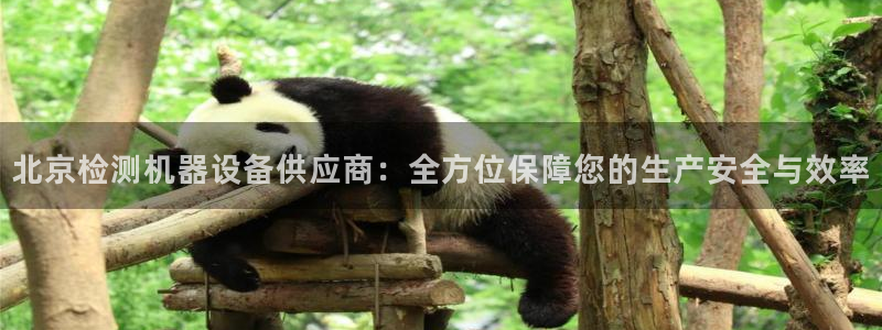 辉达娱乐可靠：北京检测机器设备供应商：全方位保障您的生产安全