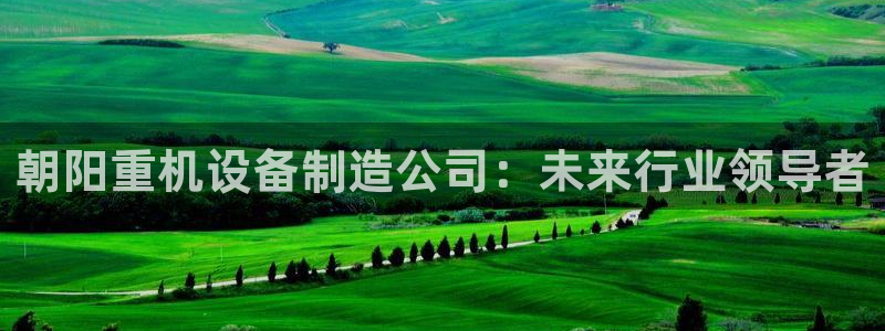 辉达娱乐分红：朝阳重机设备制造公司：未来行业领导者