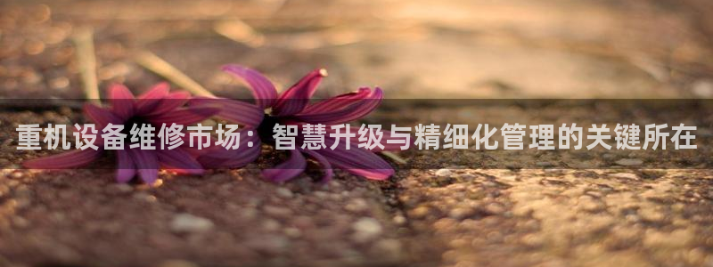 辉达娱乐重庆时时彩