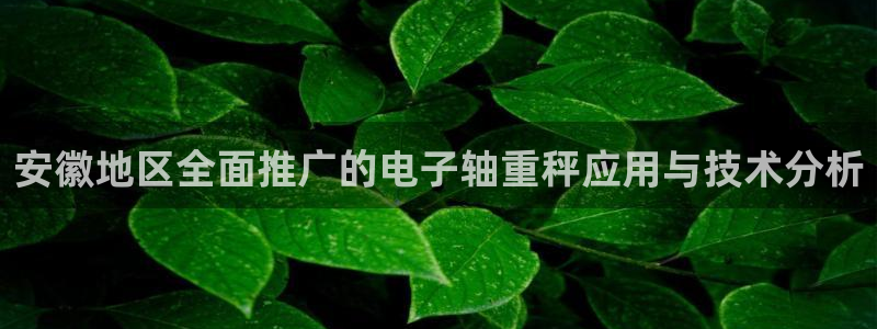 辉达娱乐：安徽地区全面推广的电子轴重秤应用与技术分析