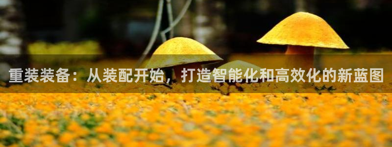 辉达娱乐丿39444