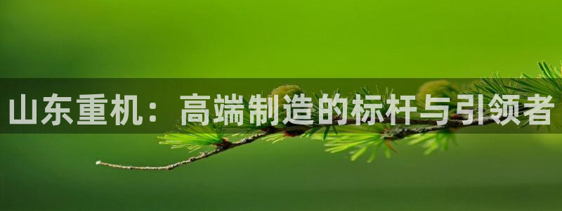 辉达娱乐加q75775稳定