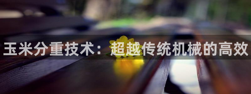 辉达娱乐ag游戏平台