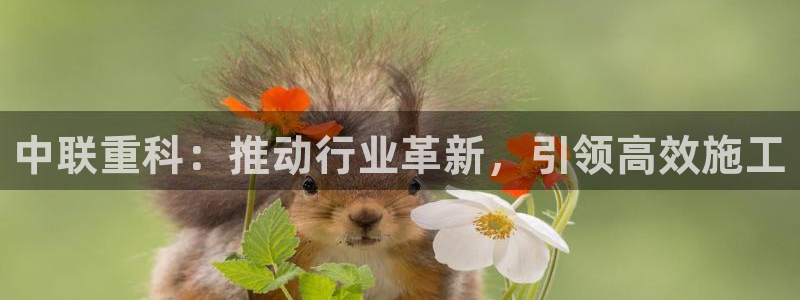 辉达平台官网网站