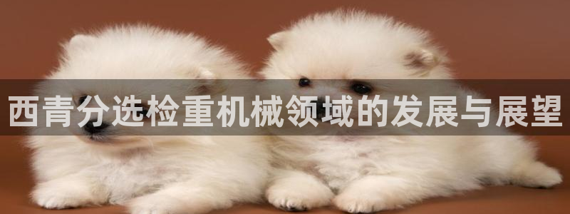 辉达平台注册流程：西青分选检重机械领域的发展与展望