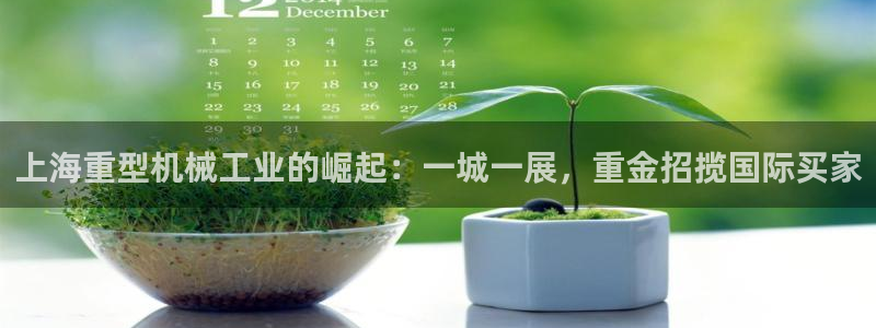 辉达娱乐体育竞猜：上海重型机械工业的崛起：一城一展，重金招揽