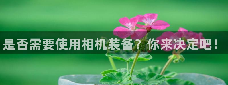 辉达娱乐体彩：是否需要使用相机装备？你来决定吧！