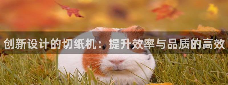 辉达平台官网网站