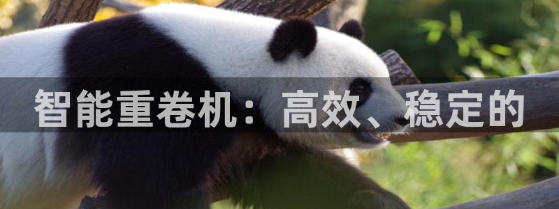 代理辉达娱乐开户注册：智能重卷机：高效、稳定的