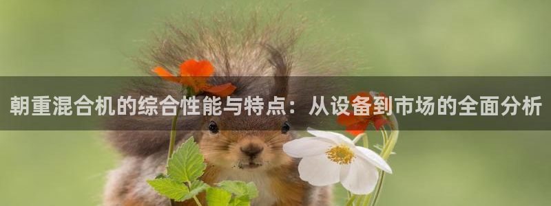 辉达娱乐广东11选5