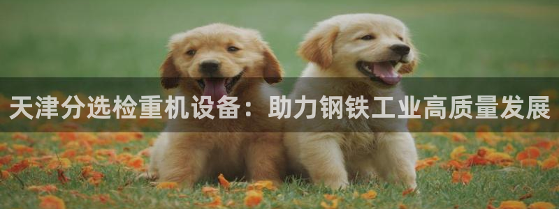 正规辉达娱乐开户注册