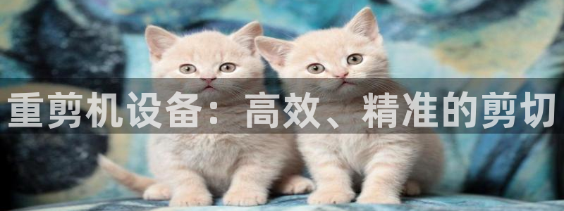 辉达娱乐己39444