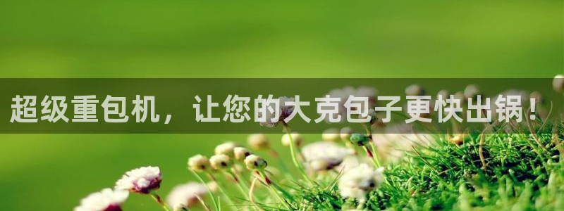 辉达娱乐123123：超级重包机，让您的大克包子更快出锅！