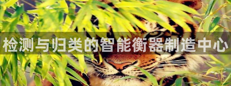 菲律宾辉达娱乐：检测与归类的智能衡器制造中心