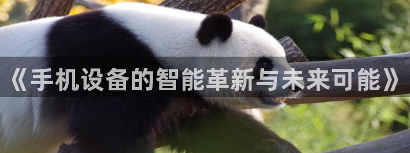 辉达娱乐属于什么档次：《手机设备的智能革新与未来可能》