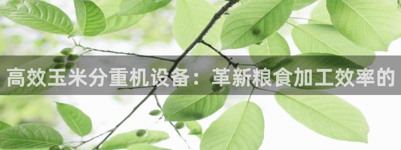 辉达平台注册官方网站入口：高效玉米分重机设备：革新粮食加工效