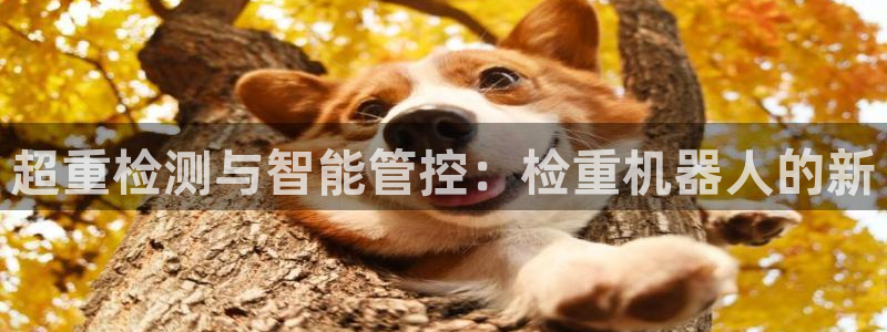 辉达平台官网下载：超重检测与智能管控：检重机器人的新