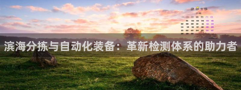 正规辉达娱乐官方网址：滨海分拣与自动化装备：革新检测体系的助