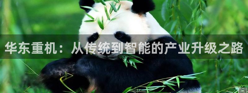 辉达娱乐珈75775