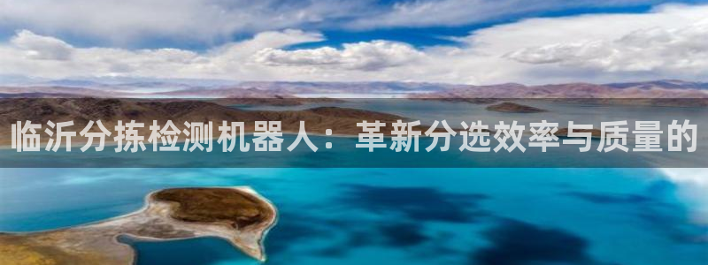 辉达娱乐体育竞猜：临沂分拣检测机器人：革新分选效率与质量的