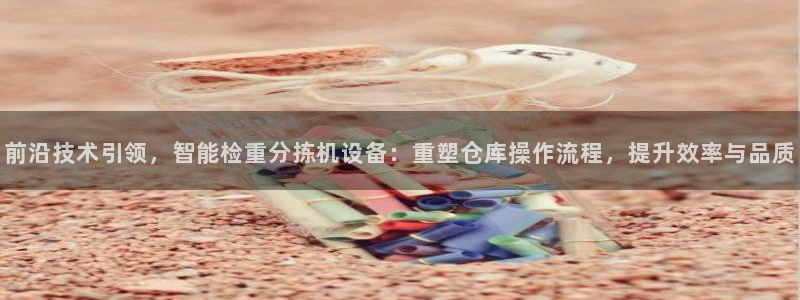 辉达娱乐可靠：前沿技术引领，智能检重分拣机设备：重塑仓库操作