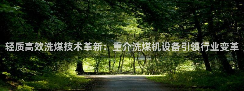 辉达娱乐重庆时时彩注册：轻质高效洗煤技术革新：重介洗煤机设备