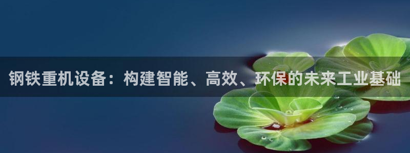 辉达娱乐公司：钢铁重机设备：构建智能、高效、环保的未来工业基