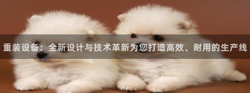 菲律宾辉达娱乐：重装设备：全新设计与技术革新为您打造高效、耐